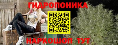 mdpv Лесосибирск